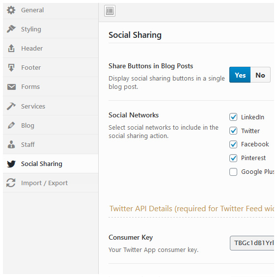 Theme Options Panel